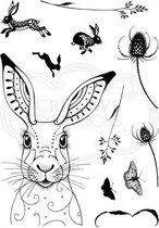 Stempel - Creative Expressions - Pink ink A5 - Clear stamp - hare