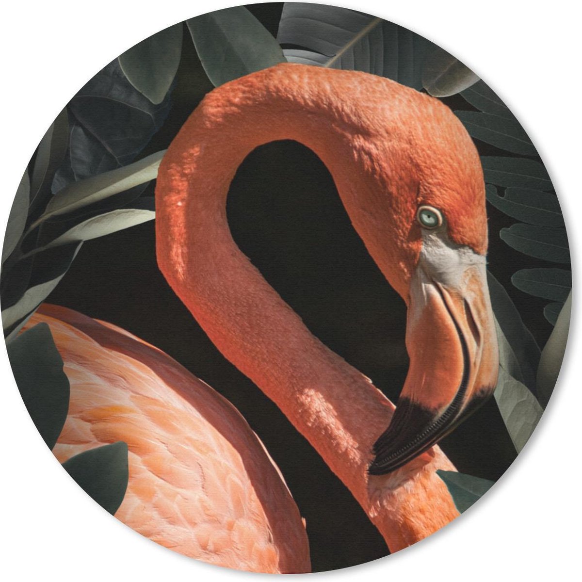 Muismat rond 30x30 cm - Mousepad Flamingo - Bladeren - Portret - Botanisch - Ronde muismatten
