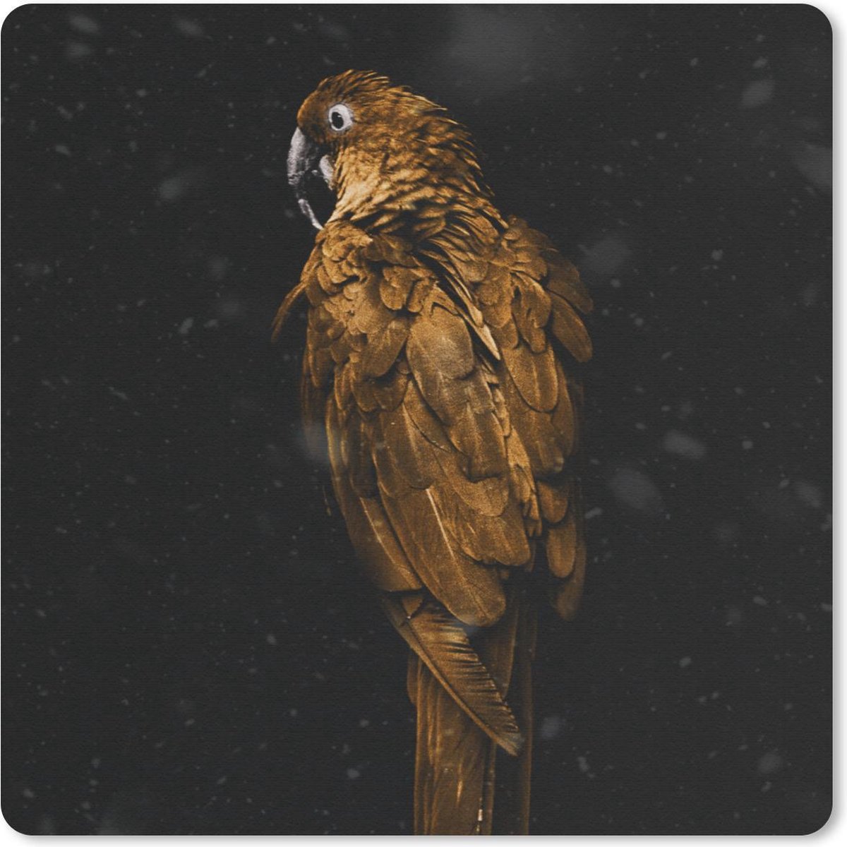 Muismat 20x20 cm - Mousepad Papegaai - Goud - Zwart - Muismatten