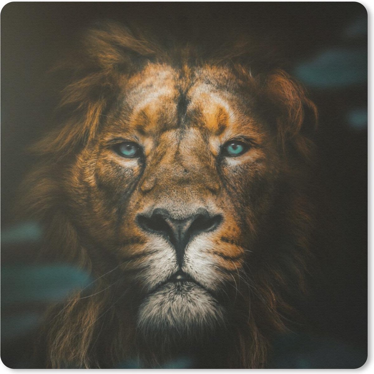 Muismat 30x30 cm - Mousepad Dieren - Leeuw - Roofdier - Muismatten