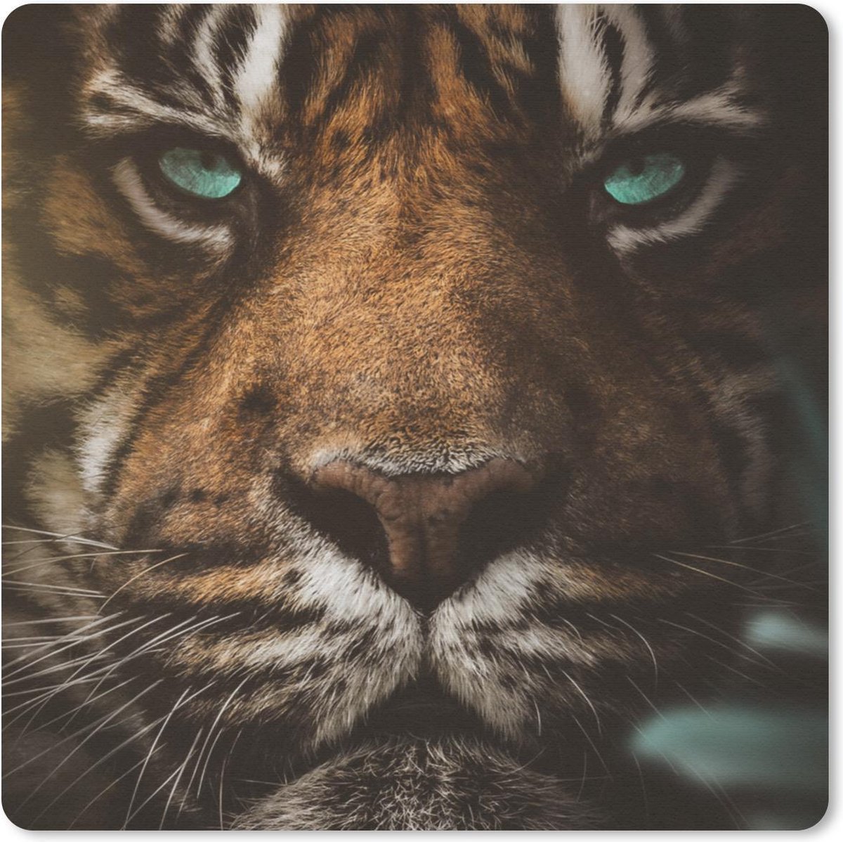 Muismat 20x20 cm - Mousepad Dieren - Tijger - Wild - Muismatten