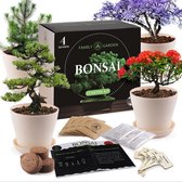 Bonsai boom starters kit- Kweek je eigen Bonsai Boompjes - 4 soorten Boomzaden - Cadeau voor Man & Vrouw