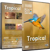 Bird Safari - Tropical Birds and Wildlife Scenery with Relaxing Music or Nature Sounds