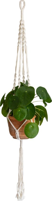 QUVIO Plantenhanger voor bloempot - Hangpot - bloempot - Plantenhanger...
