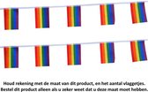Regenboog slinger met 20 vlaggetjes - LGBT Gay Pride - Rainbow Garland with 20 flags - Polyester
