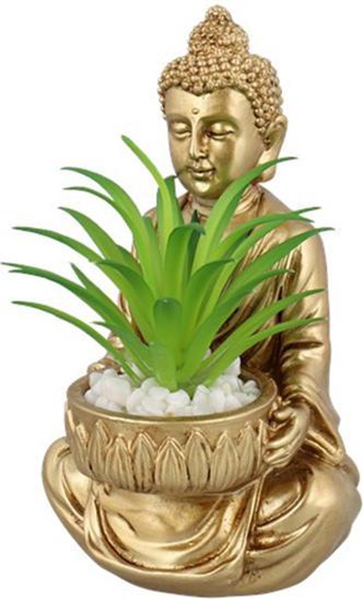 Décoration De Maison De Statuette De Bouddha Près De Plante Verte