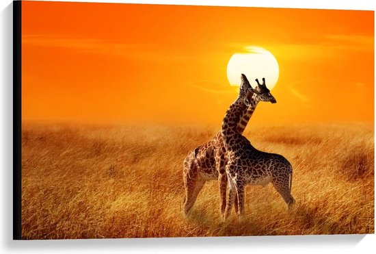 Canvas  - Knuffelende Giraffen in de Natuur bij de Zon - 90x60cm Foto op Canvas Schilderij (Wanddecoratie op Canvas)