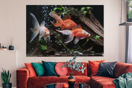 Canvas schilderij 180x120 cm - Wanddecoratie Dieren - Goudvis - Water - Muurdecoratie woonkamer - Slaapkamer decoratie - Kamer accessoires - Schilderijen
