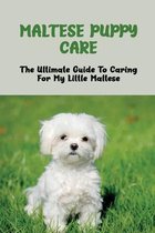 Maltese Puppy Care: The Ultimate Guide To Caring For My Little Maltese