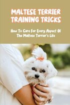 Maltese Terrier Training Tricks: How To Care For Every Aspect Of The Maltese Terrier's Life