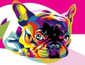 Dielay - Diamond Painting Pakket - Hond Gekleurd | Franse Bulldog - 50x40 cm - Complete Set - Volledige Bedekking - Ronde Steentjes