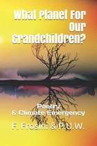 What Planet For Our Grandchildren?