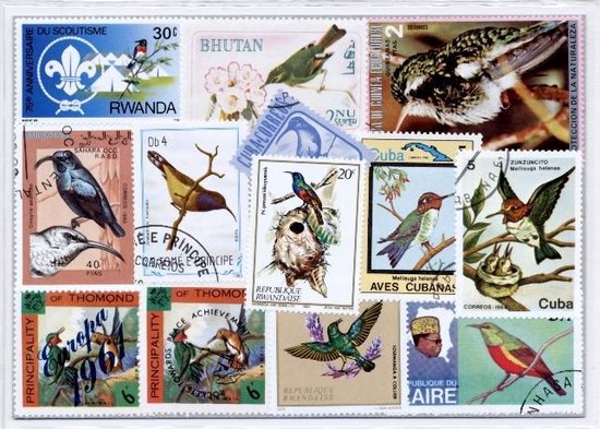 Thumbnail van een extra afbeelding van het spel Kolibri's & Honingvogels – Luxe postzegel pakket (A6 formaat) : collectie van 25 verschillende postzegels van kolibri's & koningvogels – kan als ansichtkaart in een A6 envelop - authentiek cadeau - kado - geschenk - kaart  - vogels - zwaluwachtigen