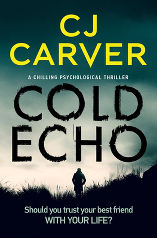 Literatuur wiel Ligatie The Harry Hope Thrillers - Cold Echo (ebook), Cj Carver | 9781504069779 |  Boeken | bol.com