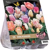 Plantenwinkel Urban Flowers Pink pleasure bloembollen per 15 stuks