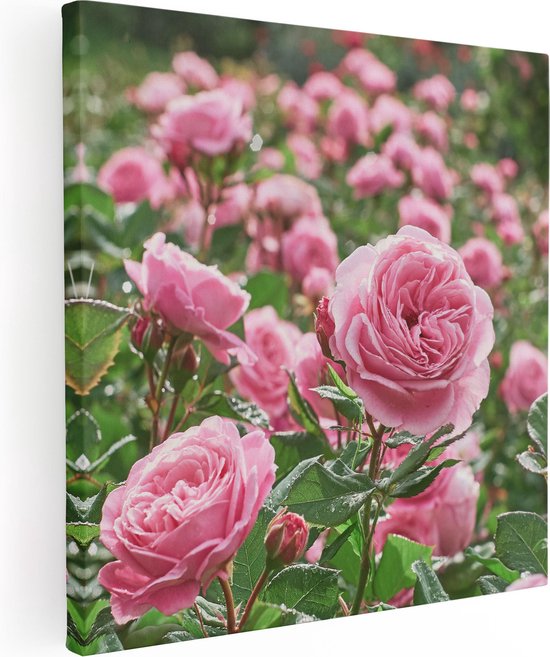 Artaza Canvas Schilderij Roze Rozen Bloemenveld - 50x50 - Foto Op Canvas - Canvas Print