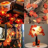 Thema Decoratie |Herfst slinger| led| rood |