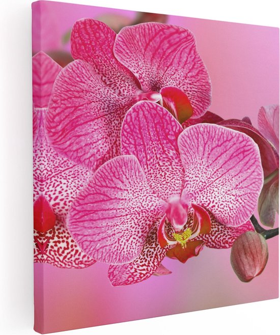 Artaza Canvas Schilderij Roze Orchidee Bloemen - 40x40 - Foto Op Canvas - Canvas Print