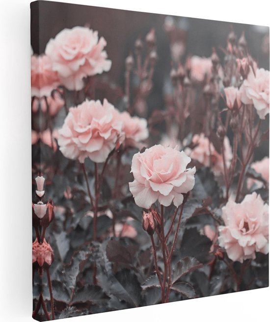 Artaza Canvas Schilderij Roze Rozen Bloemen  - 40x40 - Klein - Foto Op Canvas - Canvas Print