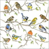 Ambiente - Birds Meeting  - Papieren lunch servetten - tuinvogels thema print - roodborstje/pimpelmees/vink