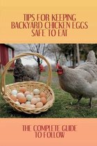 Tips For Keeping Backyard Chicken Eggs Safe To Eat: The Complete Guide To Follow