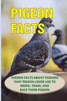 Pigeon Facts: Hidden Facts About Pigeons That Pigeon Lover Use To Breed, Train, And Race Their Pigeon