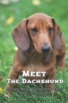 Meet The Dachshund: Things About Dachshunds Every Owner Should Know