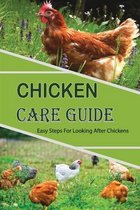 Chicken Care Guide: Easy Steps For Looking After Chickens