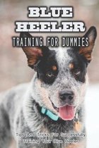 Blue Heeler Training For Dummies: Tips And Tricks For Successfully Training Your Blue Heeler