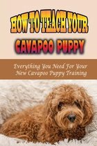 How To Teach Your Cavapoo Puppy: Everything You Need For Your New Cavapoo Puppy Training