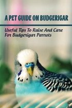 A Pet Guide On Budgerigar: Useful Tips To Raise And Care For Budgerigar Parrots