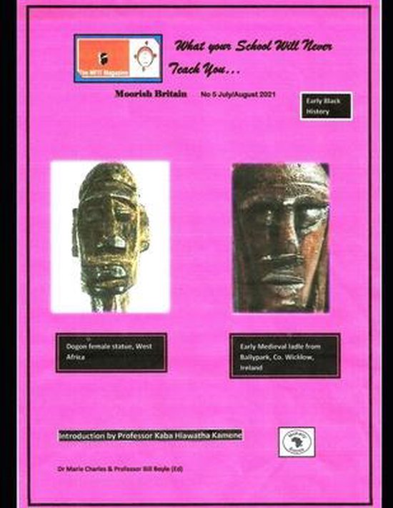 What Your School Will Never Teach You: Decolonizing the Curr ... - cover