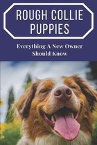 Rough Collie Puppies: Everything A New Owner Should Know