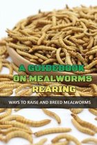A Guidebook On Mealworms Rearing: Ways To Raise And Breed Mealworms