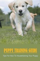Puppy Training Guide: Tips For How To Housetraining Your Puppy
