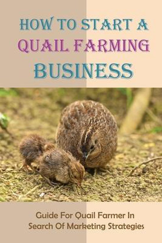 How To Start A Quail Farming Business Guide For Quail Farmer In Search