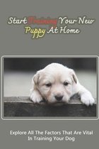 Start Training Your New Puppy At Home: Explore All The Factors That Are Vital In Training Your Dog
