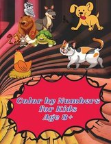 Color by Numbers for Kids Age 8-12
