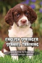 English Springer Spaniel Training: Learn In How To Teach Your English Springer Spaniel