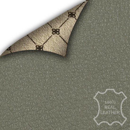 Bouletta - iPhone 13 Pro - Étui BookCase en cuir - Vert andalou