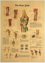 Het Menselijk Lichaam Kniegewricht Skyrim Vintage Gaming Posters 42x30cm
