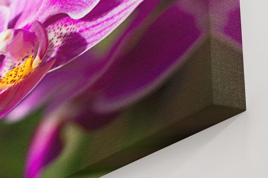 Artaza Peinture sur Toile Fleurs d'Orchidées Violettes - 60x90 - Photo sur Toile - Impression sur Toile