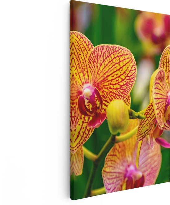 Artaza Canvas Schilderij Geel Rode Orchidee Bloemen - 60x90 - Foto Op Canvas - Canvas Print