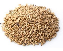Vogelvoer  18 kg | Konacorn Kanariezaad