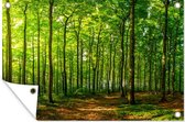 Tuinposter - Tuindoek - Tuinposters buiten - Bos - Boom - Planten - 120x80 cm - Tuin