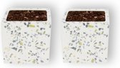 Set van 2 WLPlants Luxe Bloempotten Terrazzo Ø7 - Vierkant - Wit - Hoogte 7 cm - Keramische sierpotten met hoogwaardige afwerking - Geschikt als plantenpot - Binnen en buiten te gebruiken