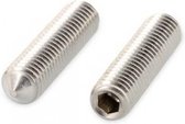 inbus zonder kop puntstelschroef M5 x 25 mm RVS zilver
