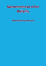 Metamorphosis of the Butterfly