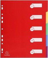 Separator Exacompta A4 4805E Multicolour (Gerececonditioneerd A+)