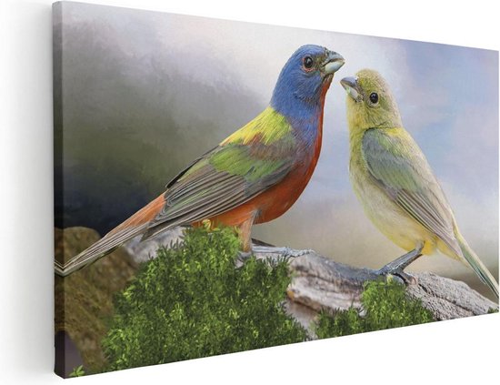 Artaza Canvas Schilderij Getekende Gorzen Vogels - Kleur - Abstract - 120x60 - Groot - Foto Op Canvas - Canvas Print